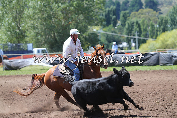 NimmitabelCampdraft2015_2199