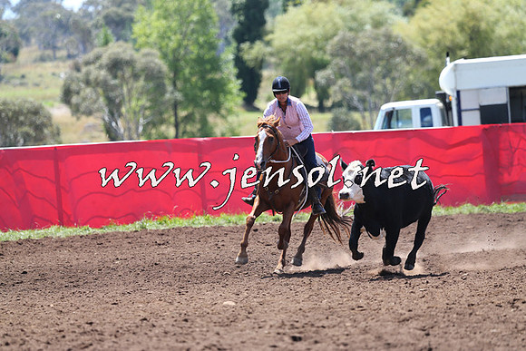 NimmitabelCampdraft2015_2208