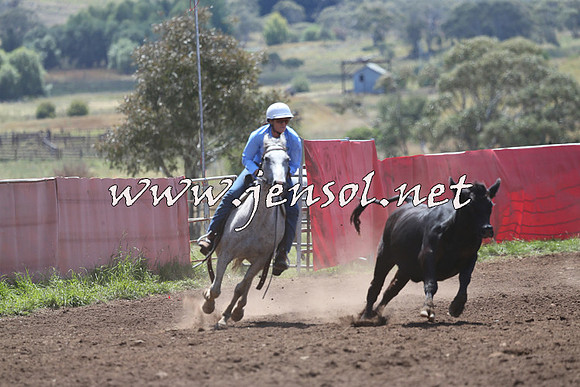 NimmitabelCampdraft2015_2247