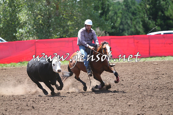 NimmitabelCampdraft2015_2224