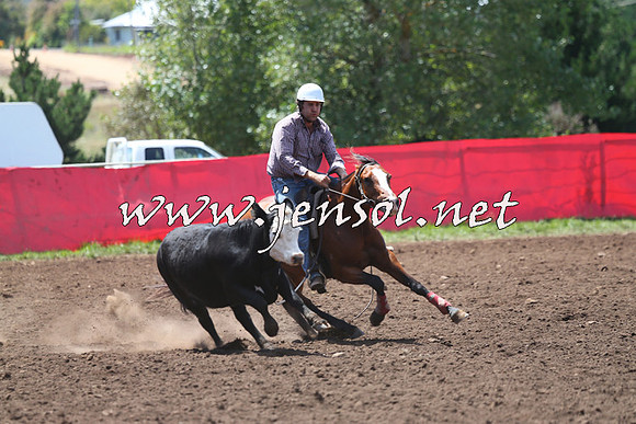 NimmitabelCampdraft2015_2226