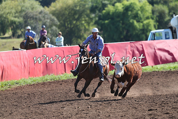 NimmitabelCampdraft2015_2119