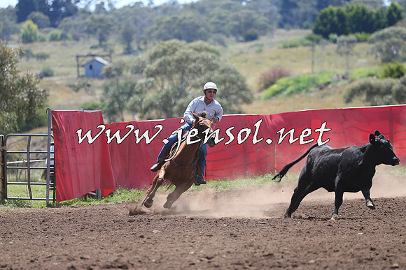 NimmitabelCampdraft2015_2157