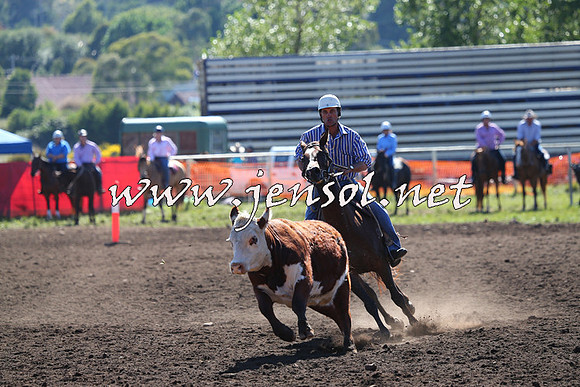 NimmitabelCampdraft2015_2125