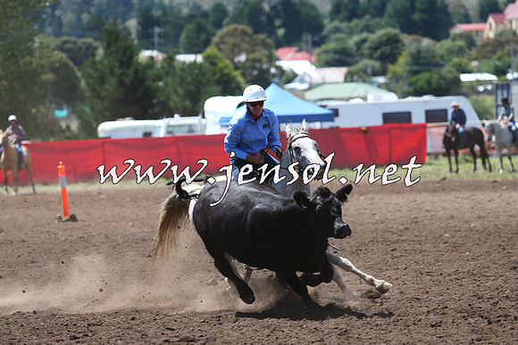 NimmitabelCampdraft2015_2249