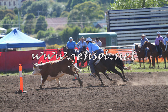 NimmitabelCampdraft2015_2096