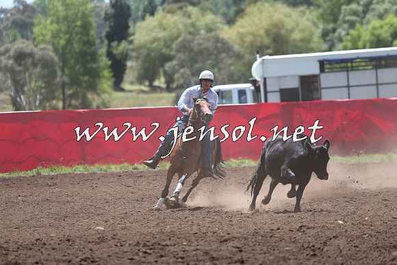 NimmitabelCampdraft2015_2173