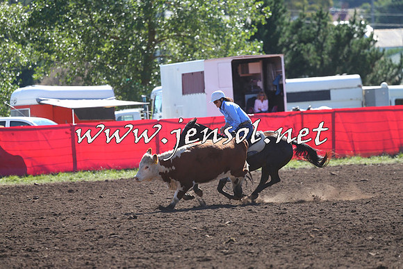 NimmitabelCampdraft2015_2100