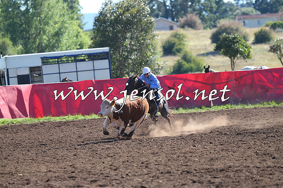 NimmitabelCampdraft2015_2081
