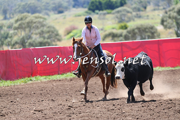 NimmitabelCampdraft2015_2212