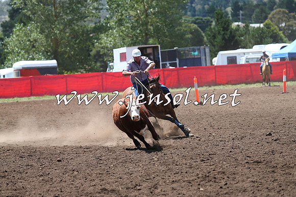 NimmitabelCampdraft2015_2265