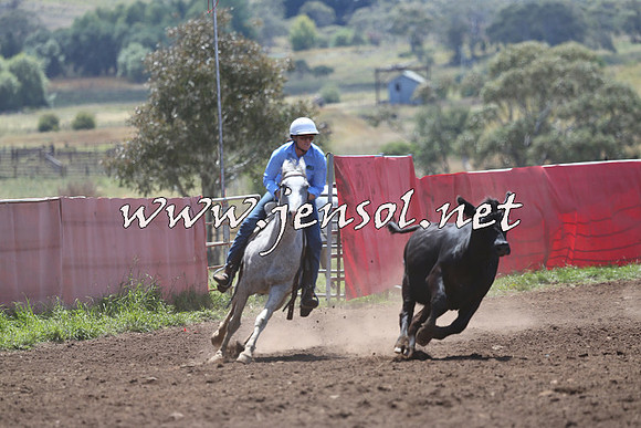NimmitabelCampdraft2015_2246