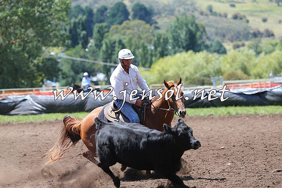 NimmitabelCampdraft2015_2197