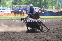 NimmitabelCampdraft2015_2038