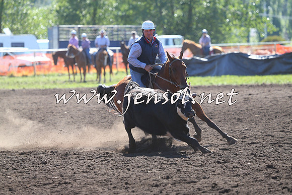 NimmitabelCampdraft2015_2038