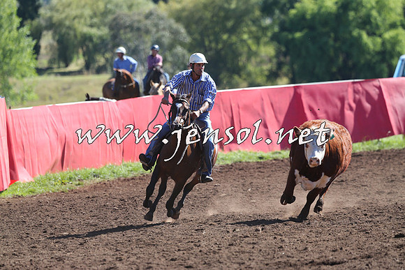 NimmitabelCampdraft2015_2117
