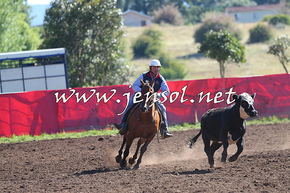 NimmitabelCampdraft2015_2036