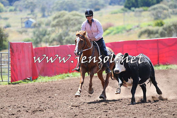 NimmitabelCampdraft2015_2216