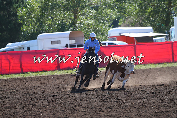 NimmitabelCampdraft2015_2103