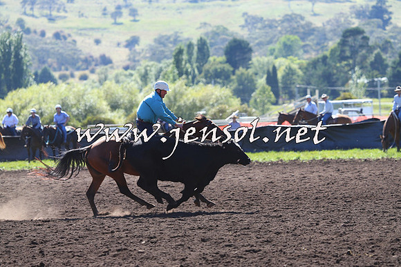 NimmitabelCampdraft2015_2132