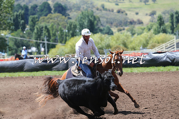 NimmitabelCampdraft2015_2196