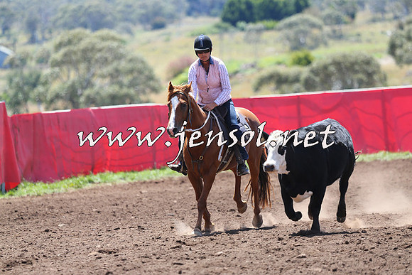 NimmitabelCampdraft2015_2213