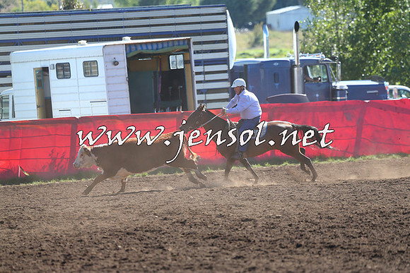 NimmitabelCampdraft2015_2067