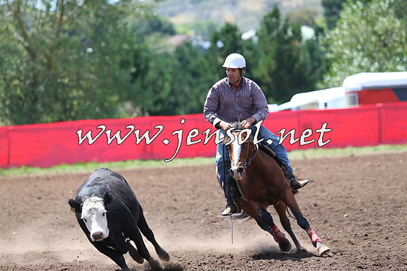 NimmitabelCampdraft2015_2230