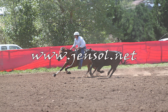 NimmitabelCampdraft2015_2189