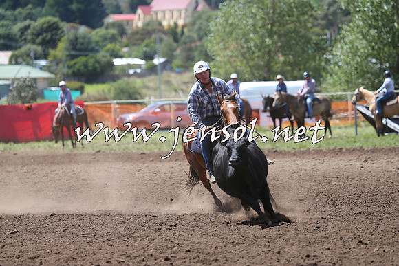 NimmitabelCampdraft2015_2275