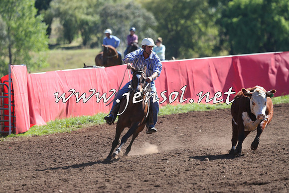 NimmitabelCampdraft2015_2114