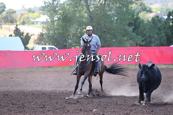 NimmitabelCampdraft2015_2154
