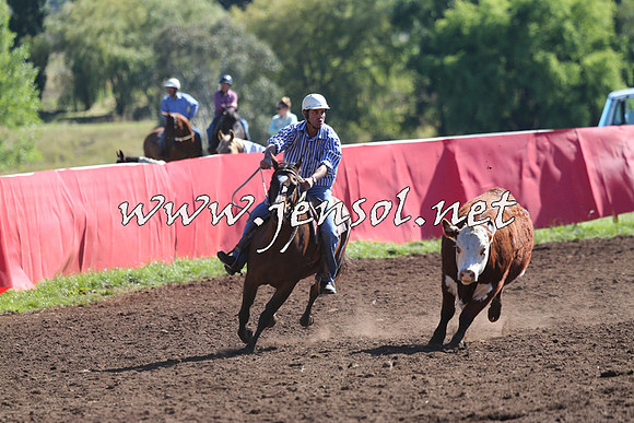 NimmitabelCampdraft2015_2116
