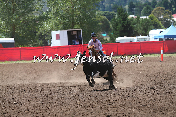 NimmitabelCampdraft2015_2203