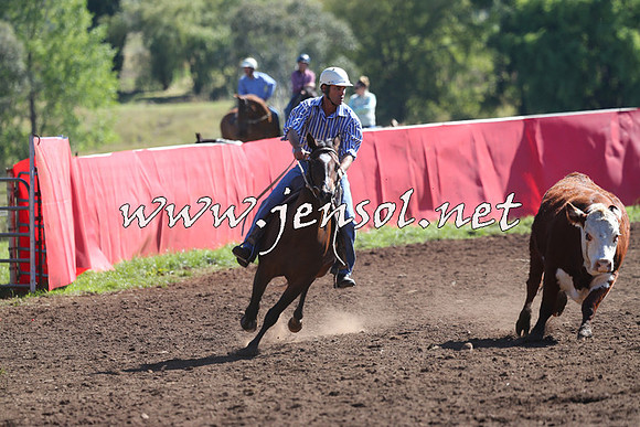 NimmitabelCampdraft2015_2113