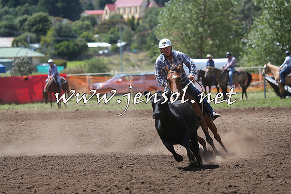NimmitabelCampdraft2015_2272