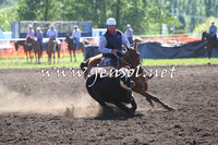 NimmitabelCampdraft2015_2039