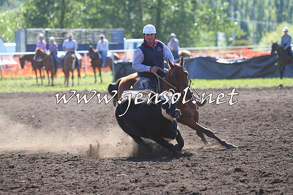 NimmitabelCampdraft2015_2039