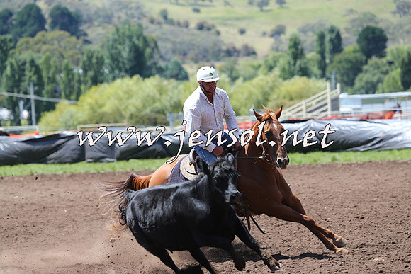 NimmitabelCampdraft2015_2195