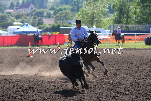 NimmitabelCampdraft2015_2050