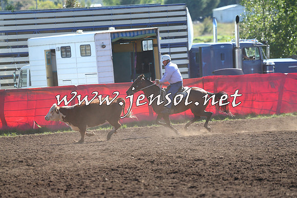 NimmitabelCampdraft2015_2066