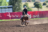 NimmitabelCampdraft2015_2012