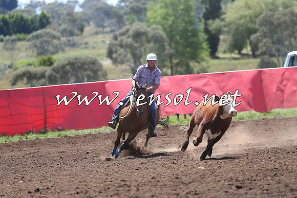 NimmitabelCampdraft2015_2264