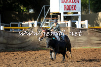 TaralgaCampdraftSat_0267