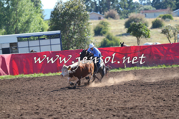 NimmitabelCampdraft2015_2080