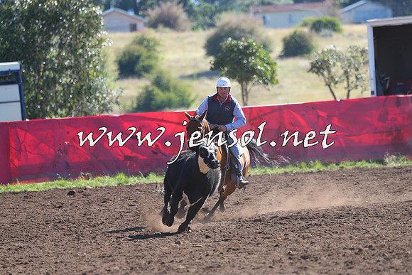 NimmitabelCampdraft2015_2033