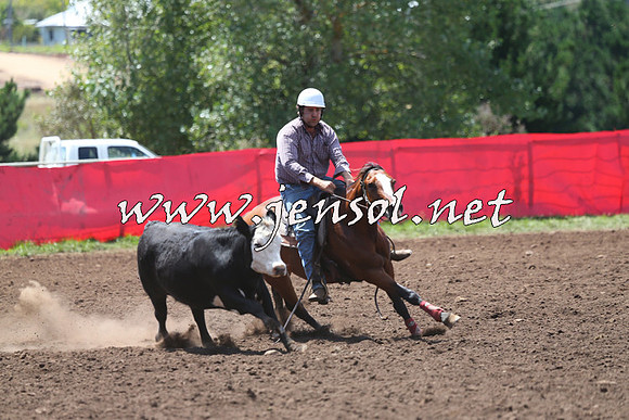 NimmitabelCampdraft2015_2223
