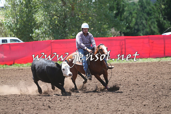 NimmitabelCampdraft2015_2222