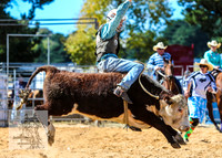 BraidwoodRodeo2015_1633