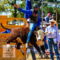 BraidwoodRodeo2015_1735